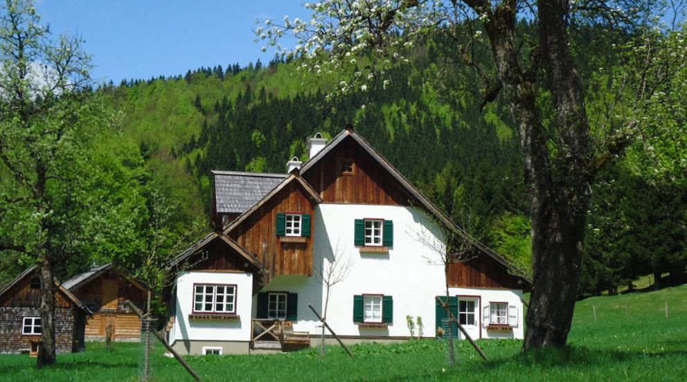 Auszeit-Alm Bad Ischl